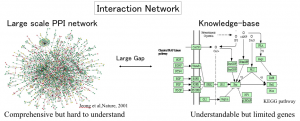 実験データをそのまま使って得られるネットワークと知識ベースで書かれるネットワークの間には大きなギャップがある