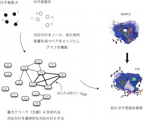 クリーク検索アルゴリズムを利用した類似性検索法